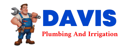 Trusted plumber in LADDONIA