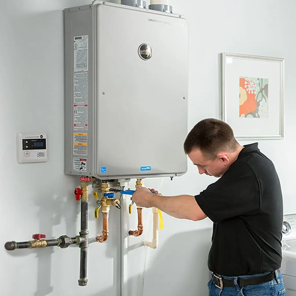 tankless water heater repair in Laddonia, MO